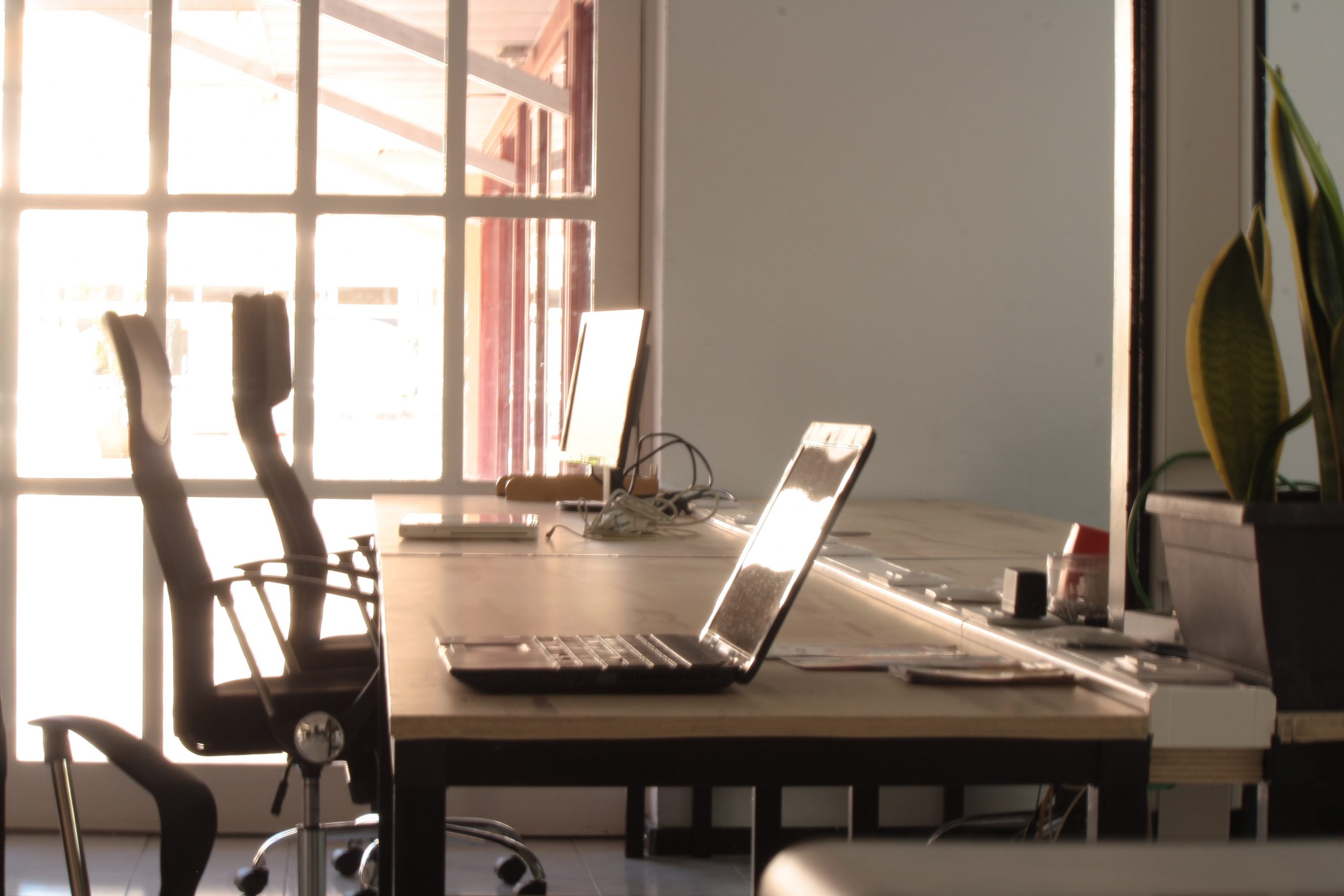 LifeCowork — trabajo y lifestyle en Gran Canaria